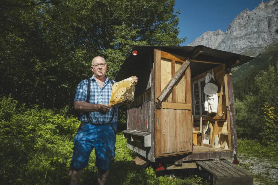 Imker des Gold Honig